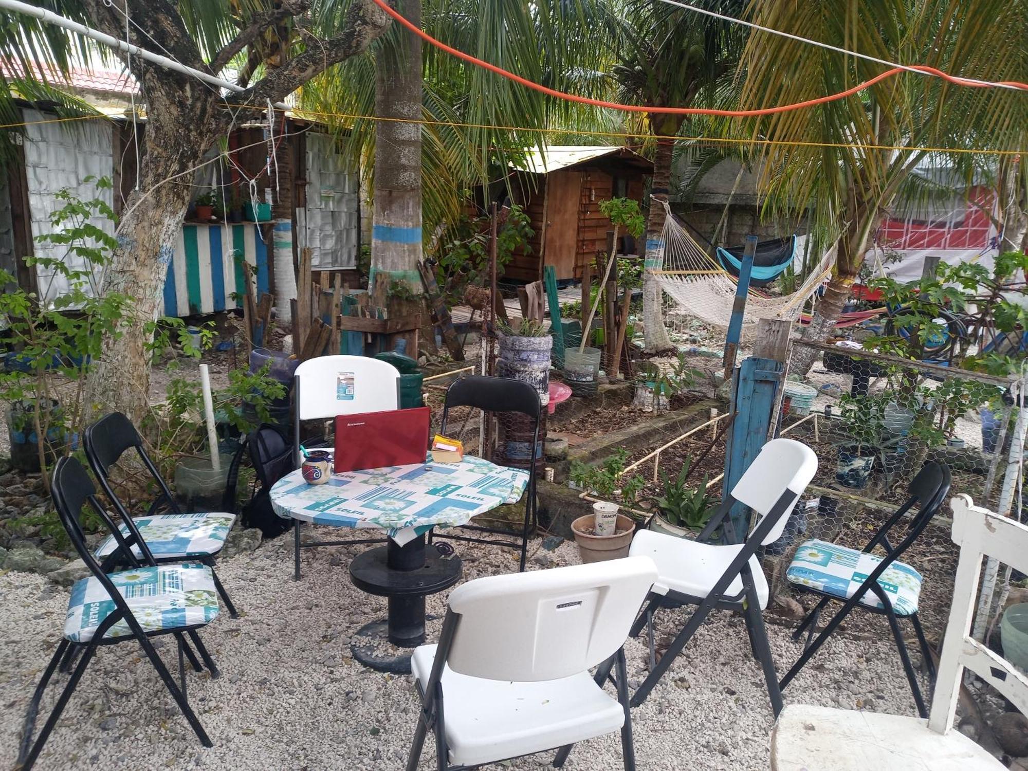 Voluntary & * Cozumel