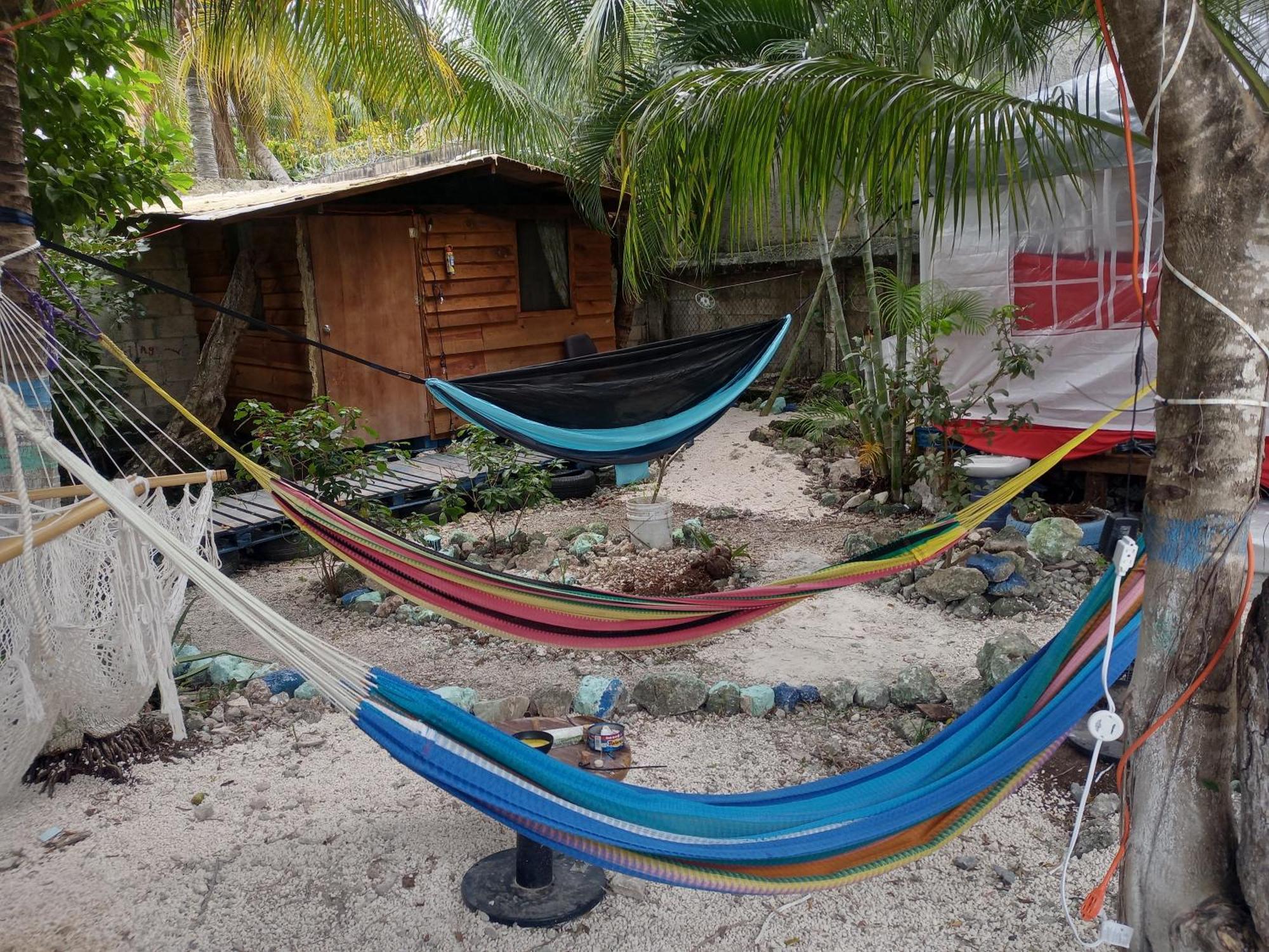 Voluntary & * Cozumel